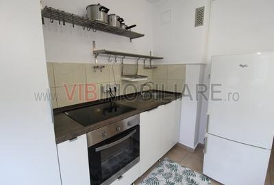 Garsonieră decomandată, mobilată în P-ța Alba Iulia - 9