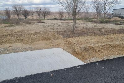 Teren de 1000 mp, în Vrancea - 5