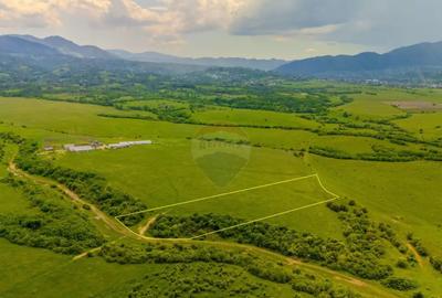 Teren de 10800 mp, în Râșnov - 8