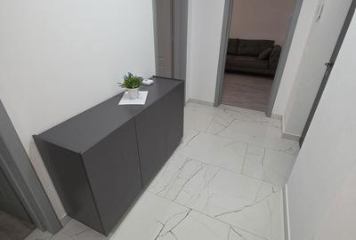 Apartament cu 2 camere decomandat în Paltin