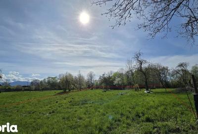 Teren de 1700 mp, în Recea - 13
