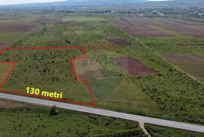 Teren de 33000 mp, în Bolotești - 2