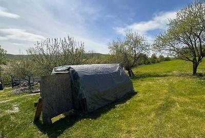 Casă cu 3 camere cu Teren 13000 Mp în Central - 15