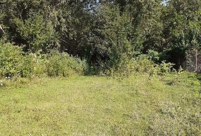 Casă cu 2 camere cu Teren 3100 Mp în Bunești (Mălureni) - 9