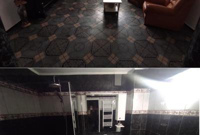 Vila 10 camere Dristor / Park Lake / Piscina Curte 430 mp - 6