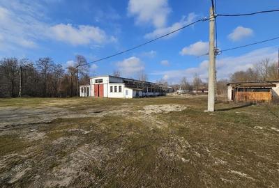 Vanzare amplasament industrial-servicii Tatarasti, Teleorman - 14