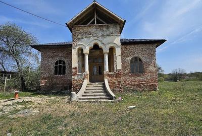 Casă cu Teren 23000 Mp în Diculești - 5