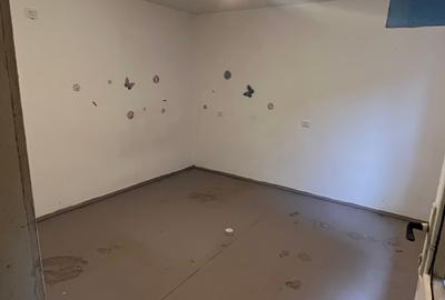 Ovidiu, casa 3 camere in Centru, 220mp - 7