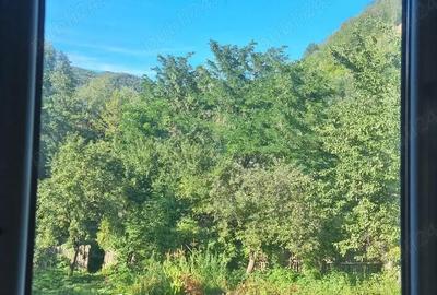 Casă în Central - 4