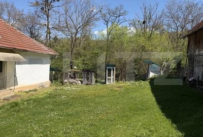 Casă cu 3 camere cu Teren 5000 Mp în Petrindu - 5