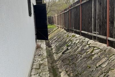 Casă cu 2 camere în Bogda - 7