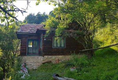 Casă cu 2 camere în Muntele Rece - 2