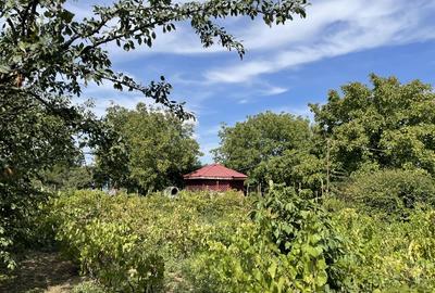 Malu, sat Butoiu Ialomita - 4