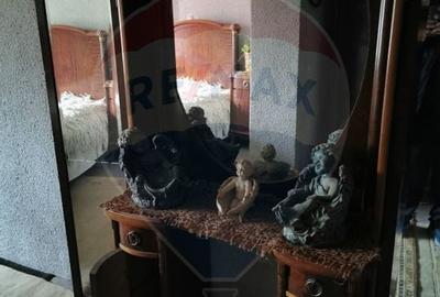 Vanzare Casa-Conac boieresc stil Baroc cu teren in Stoenesti, jud Olt - 37