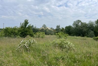 Teren Construcții intravilan de 1439 mp, în Crețești - 16