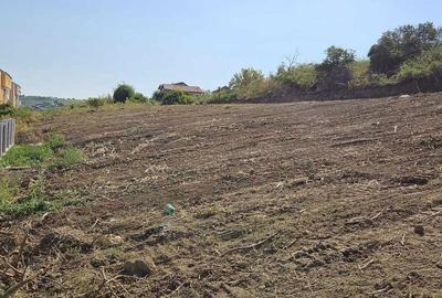 Spațiu comercial, în Vișan - 4