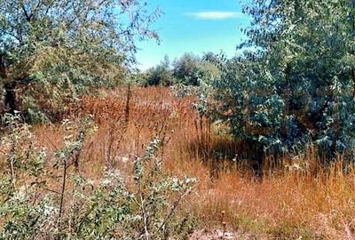 Teren de vanzare situat in Lumina, Constanta - 3