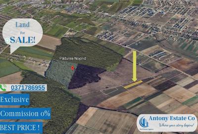 Oportunitate de investitie - Teren Cihei, langa Padurea Nojo - 3