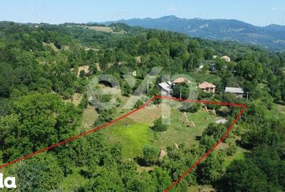 Teren de 6348 mp, în Corbeni - 4