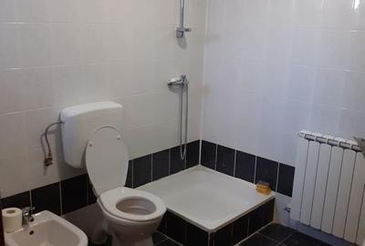 Casa insiruita, 2 dormitoare, garaj, Sanmartin. 120 000 E. Comision 0. - 18