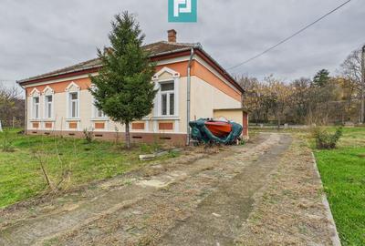 CONAC IMPRESIONANT ÎN GHIOROC - 3