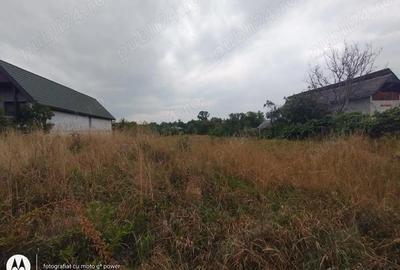 Teren de 1617 mp, în Lăpuș - 4