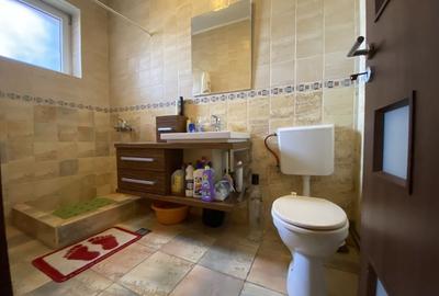 Vila individuala Stefanestii de Jos - 13