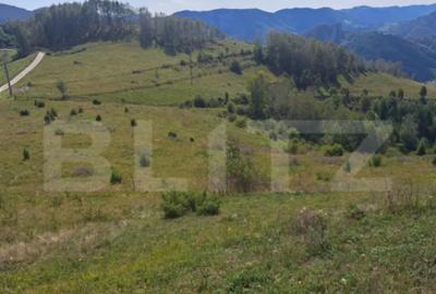 Teren de 4604 mp, în Central - 2