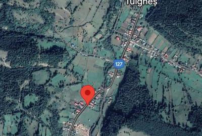 Teren intravilan 33.300 mp-Negociabil - 1