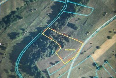 Teren de 5200 mp, în Roșia - 3