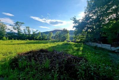 Teren 1,749mp Piatra-Neamt / Strada Zambilelor - 15