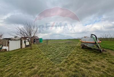 Teren agricol extravilan de 60000 mp, în Săcele - 15