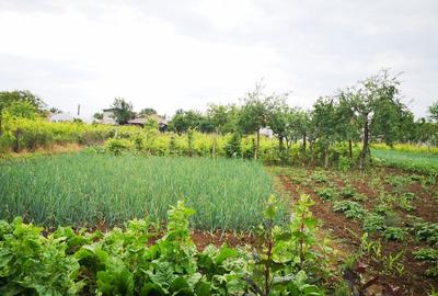 Teren Construcții intravilan de 1600 mp, în Varnița - 1