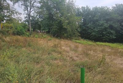 Spațiu comercial, în Luncani - 2