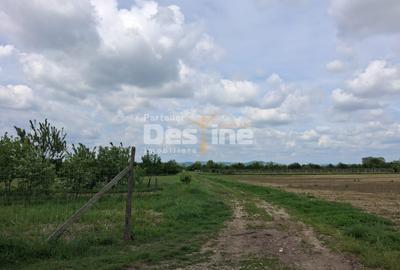 Teren Construcții extravilan de 5800 mp, în Mărăcineni - 3