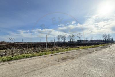 Teren Intravilan Industrial 13.164 mp, Zona Constantin Mille-Carei-Comision 0% - 6