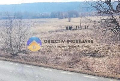 Teren de 3035 mp, în Bodești - 3