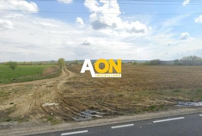 Teren intravilan cu autorizatie service auto, toate utilitatile,2300mp - 1