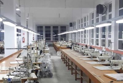 Ocazie rara în Lipova- hala finisata - 2