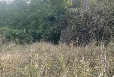 Casă cu 2 camere în Ormeniș - 6