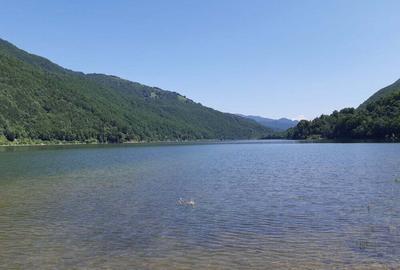 Teren de 1000 mp, în Malaia - 9