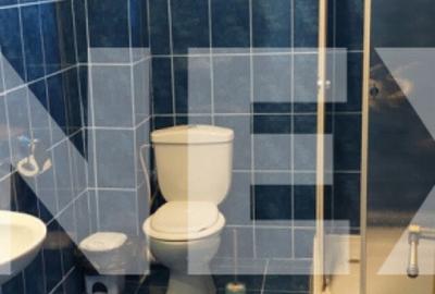 Pensiune 9 camere in Valea Mare Bratia, com. Balile?ti, ju - 11