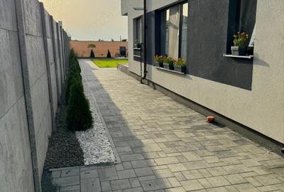 Vand casa Dumbravita - 4