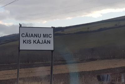 Teren Construcții intravilan de 2900 mp, în Căianu - 3