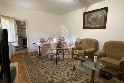 Casă individuală cu 9 camere în Iosefin