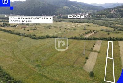 Teren Vorone? | Gura Humorului | Suceava - Bucovina - 28... - 1