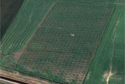 Teren de 49178 mp, în Slobozia Conachi - 11