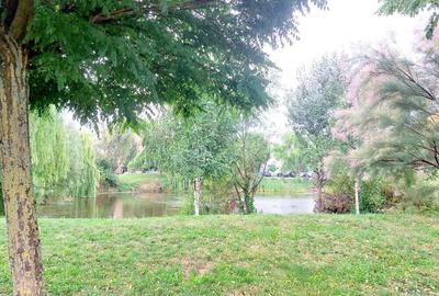 Fraidorf apartament cu o camera - 2