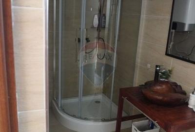 Casă individuală cu 5 camere cu Canalizare în Moisei - 44