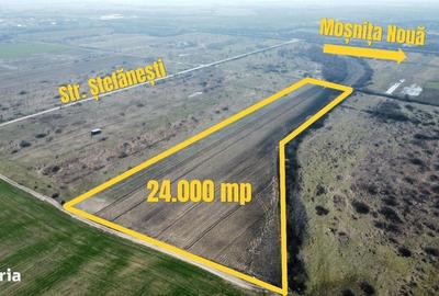 Spațiu comercial, în Moșnița Nouă